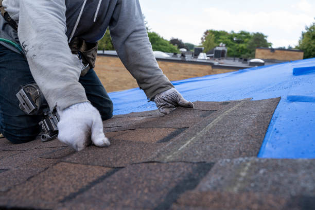 Sealant for Roof in Hutchison, VA