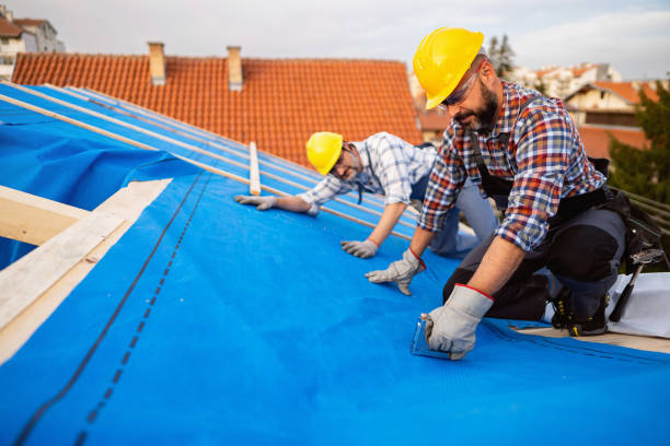 Best Gutter Installation and Roofing  in Hutchison, VA